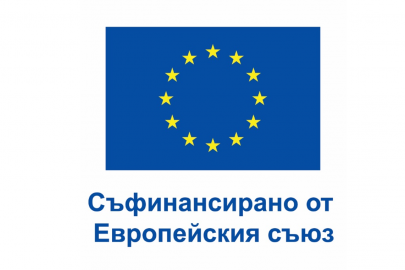 проект снимка